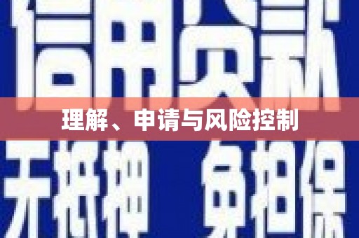 路南理解、申请与风险控制
