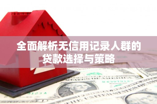 路南全面解析无信用记录人群的贷款选择与策略