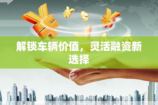 路南解锁车辆价值，灵活融资新选择