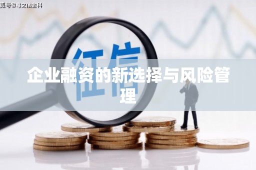 路南企业融资的新选择与风险管理