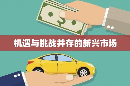 路南机遇与挑战并存的新兴市场