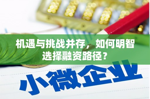 路南机遇与挑战并存，如何明智选择融资路径？