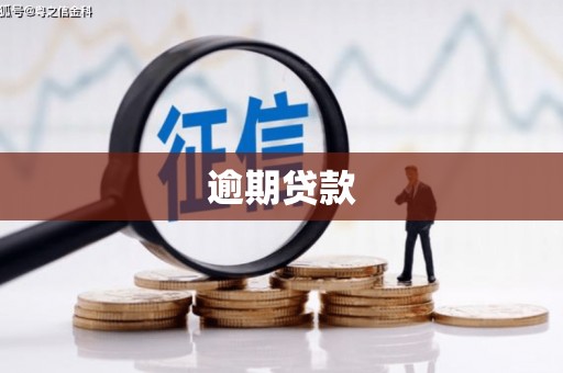 路南逾期贷款